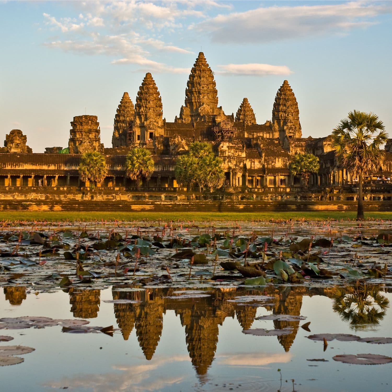 Cambodia Division